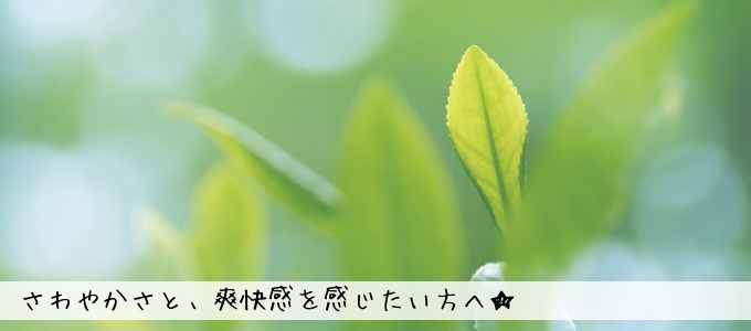 あなたにお勧めする甘いティー＆フルーティーなティーは！？