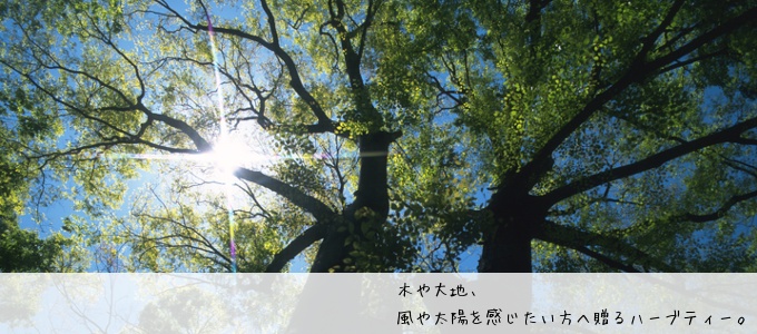 あなたにお勧めするフローラルな香りを楽しめるティーは！？