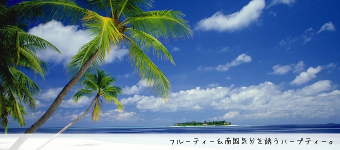 あなたにお勧めするフローラルな香りを楽しめるティーは！？