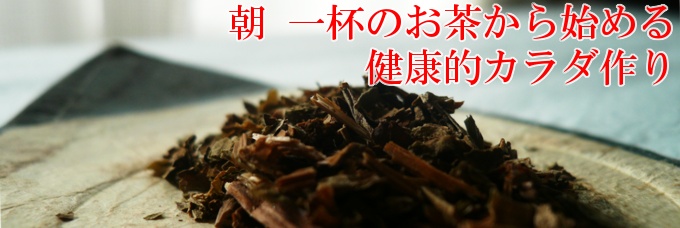 朝一杯のお茶から始める健康的カラダ作り